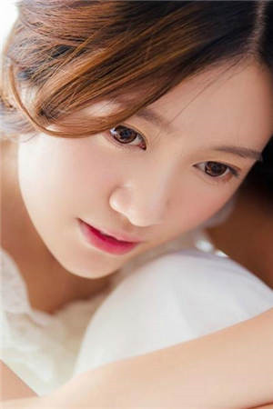 茉莉花真相小说