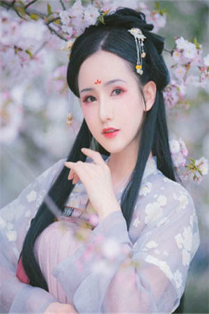 元杲顾瑾玄