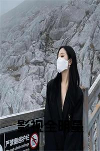 影视全明星小说名