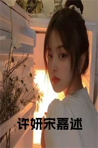 许妍宋嘉述小说免费