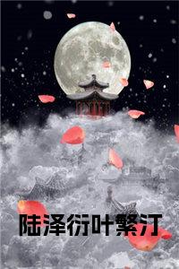 陆泽衍叶繁汀全文免费