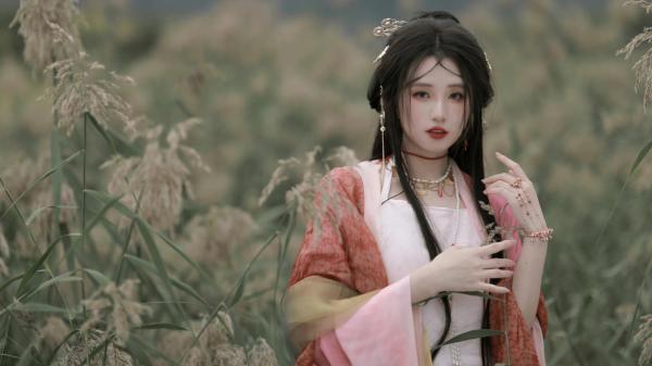星芒下的离歌乔言顾时瑾 乔言顾时瑾小说阅读