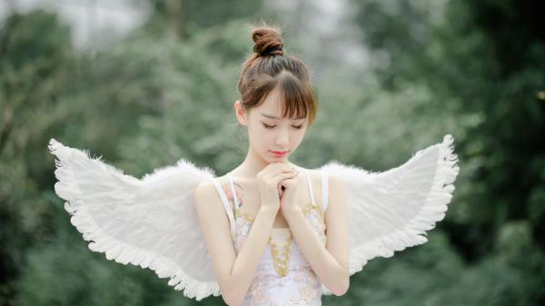 假千金成真大佬后，全家悔断肠了！顾九音顾谨言小说全部章节目录