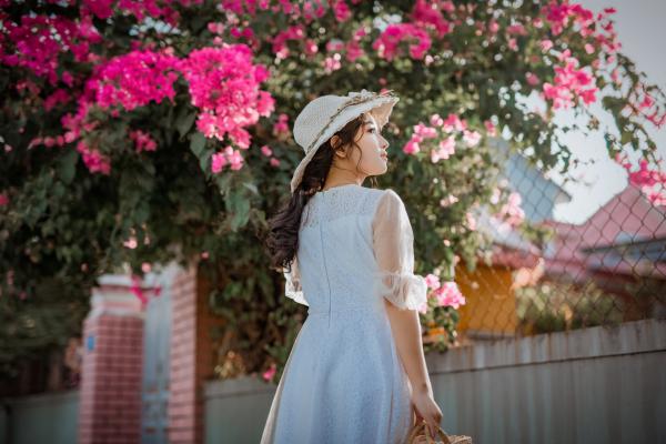 《谢宴之苏月温雅乔》小说大结局精彩试读 温情散如烟小说全文