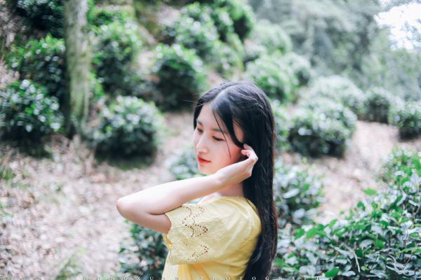 云荔荔顾允谦江逸瑄完整版全文阅读 穿书后，我把虐恋剧本改成逃婚记 大结局