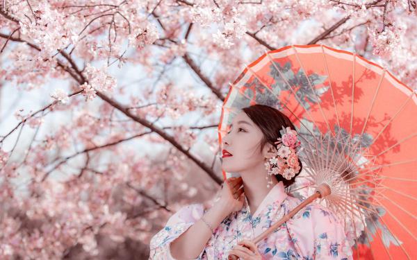 重生后，不再阻止妹妹打回春针许磬月许磬晗精彩章节在线阅读
