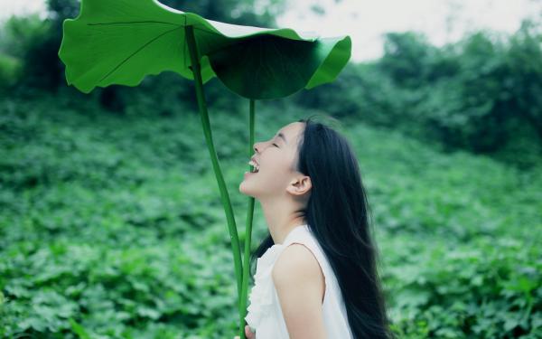 《陆峰江音晚》完结版精彩试读 《陆峰江音晚》最新章节目录