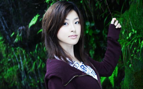 莲花万岁爷推荐阅读，好看言情小说莲花小宫女
